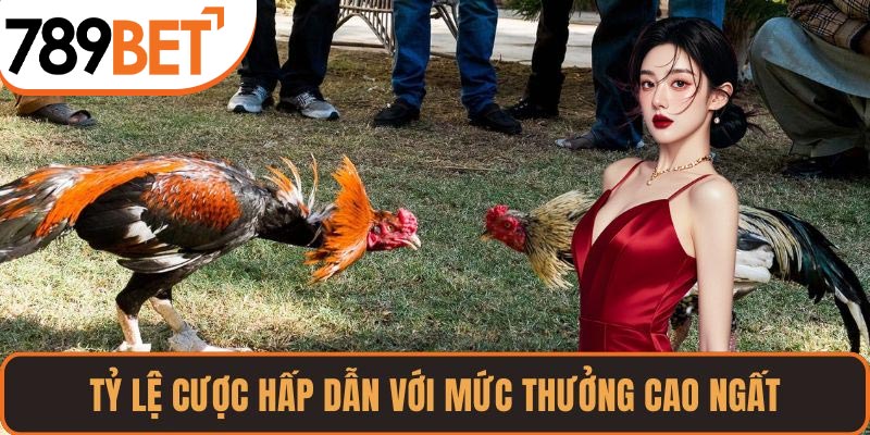 Tỷ lệ cược hấp dẫn với mức thưởng cao ngất